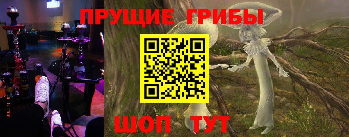 Рязань  Псилоцибиновые грибы GOLDEN TEACHER  закладки  Вход с VPN 